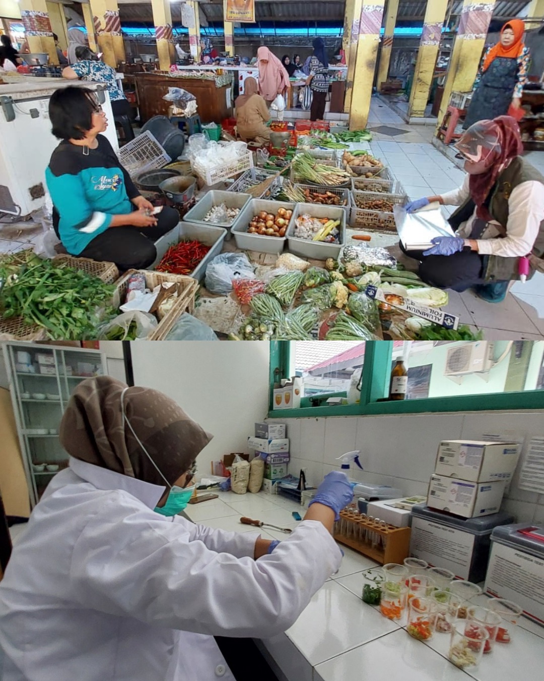 Pangan Segar Asal Tumbuhan Aman bagi Masyarakat Kota Yogyakarta